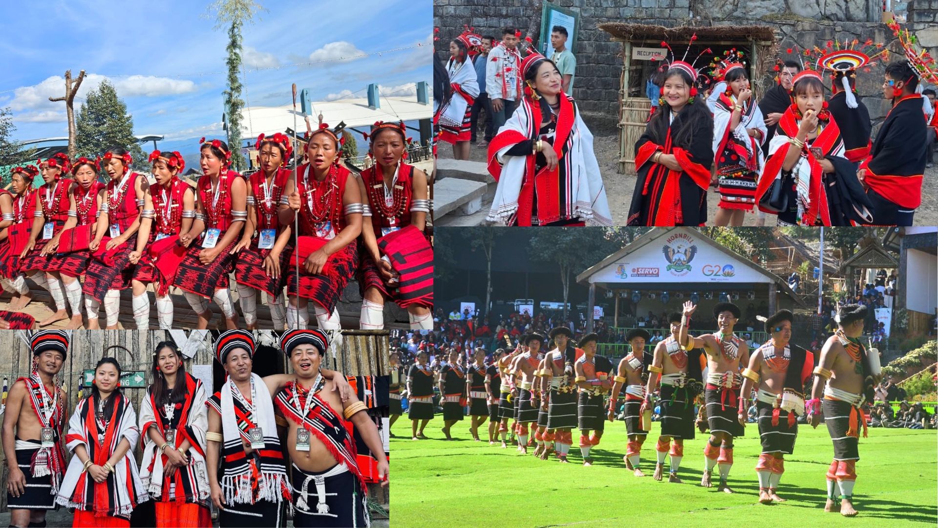 Hornbill Festival Tour